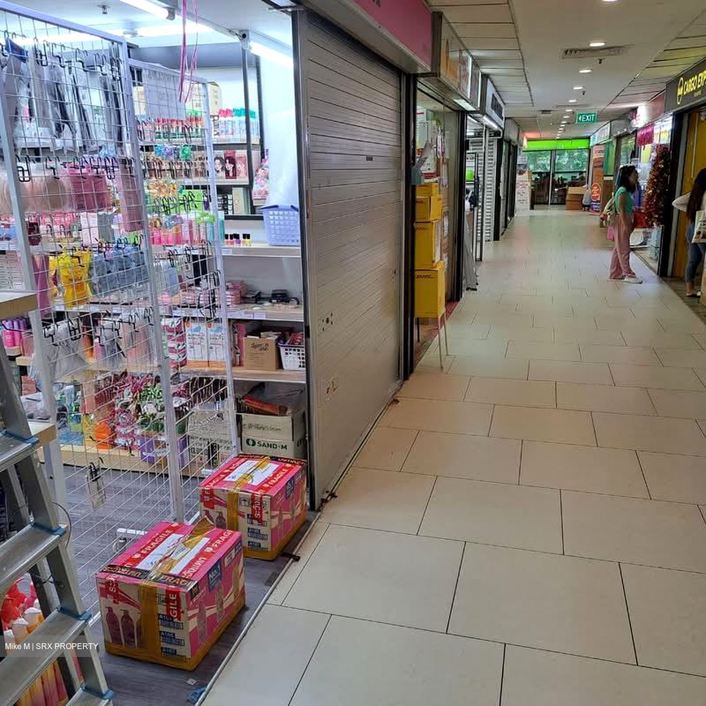 Lucky Plaza (D9), Shop House #572104251
